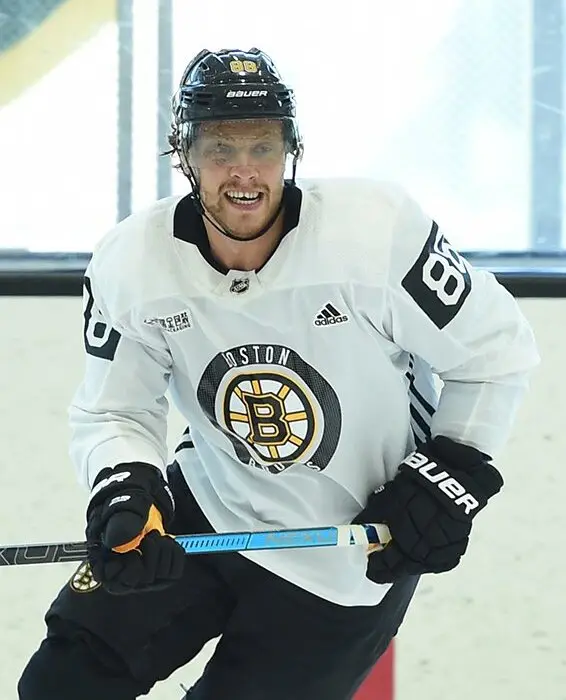 David Pastrňák