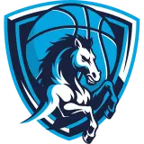 Napoli Basket